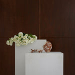 Anchor Stone Coasters Brown Calacatta